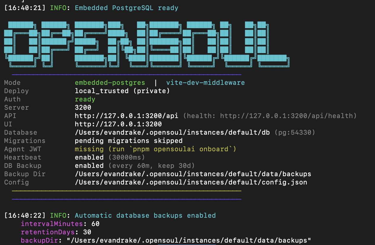 Opensoul terminal startup